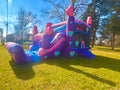 Big Juicy Wet/Dry Slide